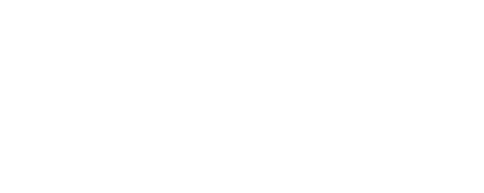 PROJE 01
